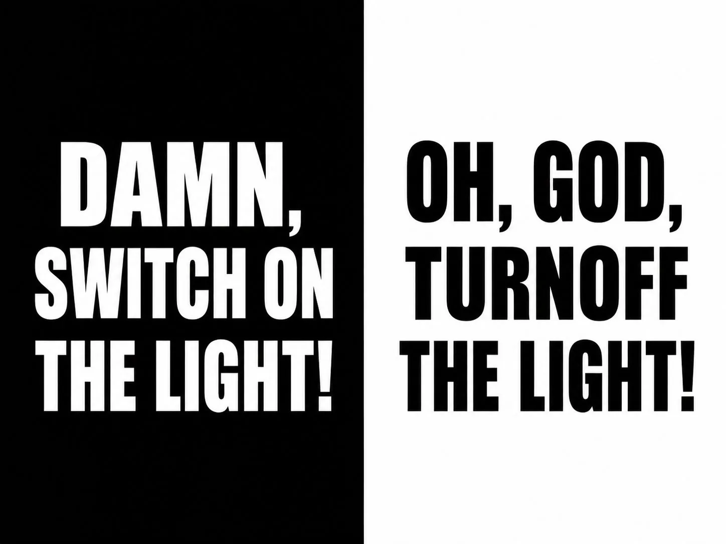 Cartoon by Oleksandr Zinovyev: Two text panels, black and white: 'Damn, switch on the light!' / 'Oh God, turn off the light!'.